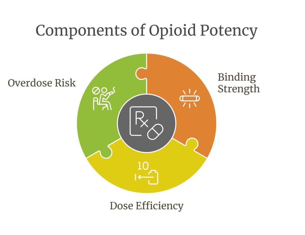 Infographic showing components of opioid potency, including overdose risk, binding strength, and dose efficiency. These factors contribute to the strength and potential dangers of opioid use.