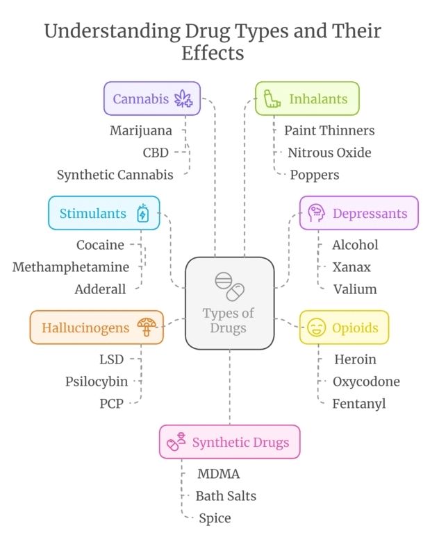 An infographic categorizing different drug types and their effects: Cannabis, Stimulants, Inhalants, Depressants, Opioids, Hallucinogens, and Synthetic Drugs, highlighting various substances under each category.