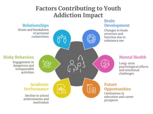 Infographic illustrating the impact of youth addiction, including effects on relationships, brain development, mental health, risky behaviors, and academics.