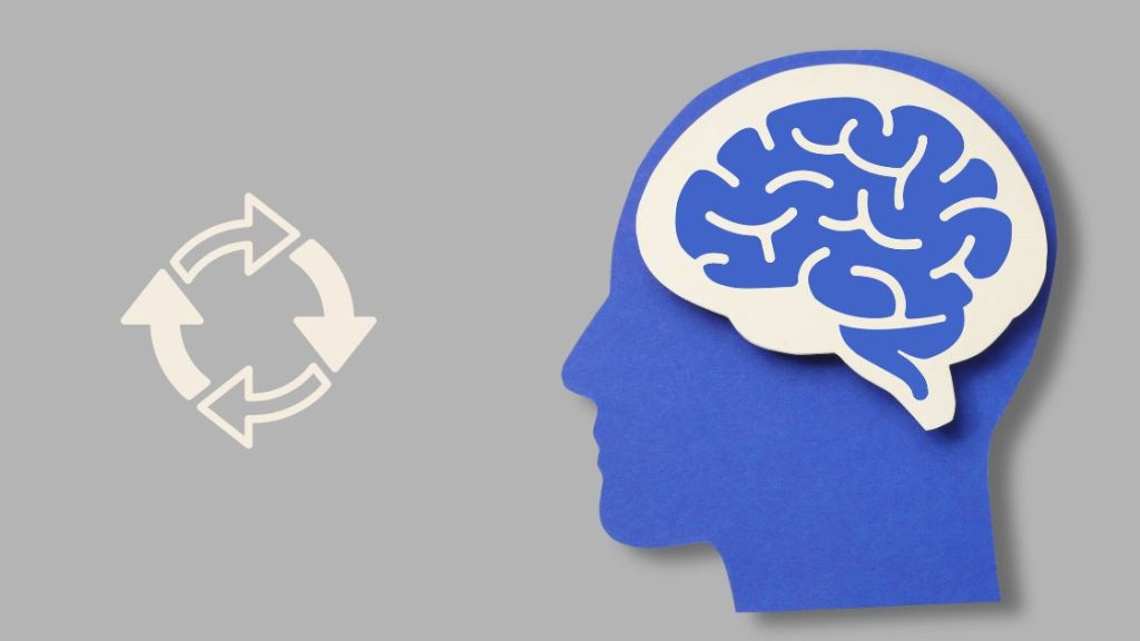 How the Brain Rebuilds Itself The Healing Timeline from Day One to Day 365