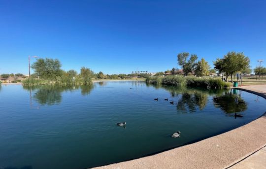 Discovery District Park for Adults in Gilbert