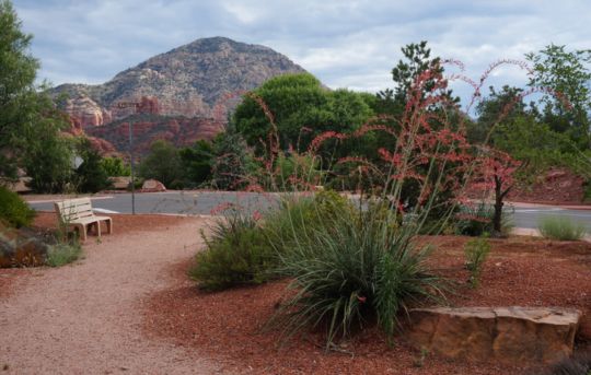 Greyback Park for Adults in Sedona