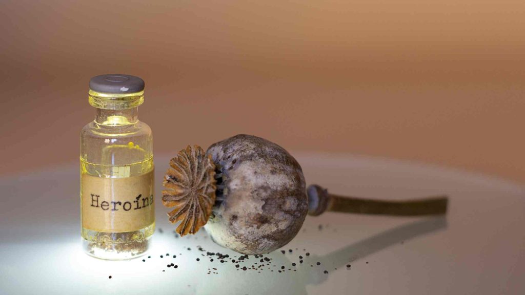 Glass vial labeled 'heroin' next to a dried opium poppy pod, representing the source and appearance of heroin.