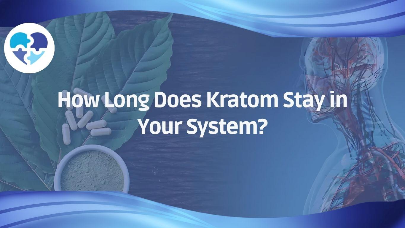 Kratom leaves, powder, and capsules beside a human body illustration showing how long kratom stays in the system.